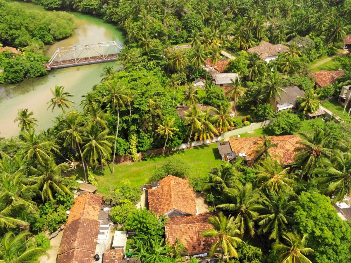 Bed and Breakfast Circus Lagoon Hideaway à Dodanduwa Extérieur photo